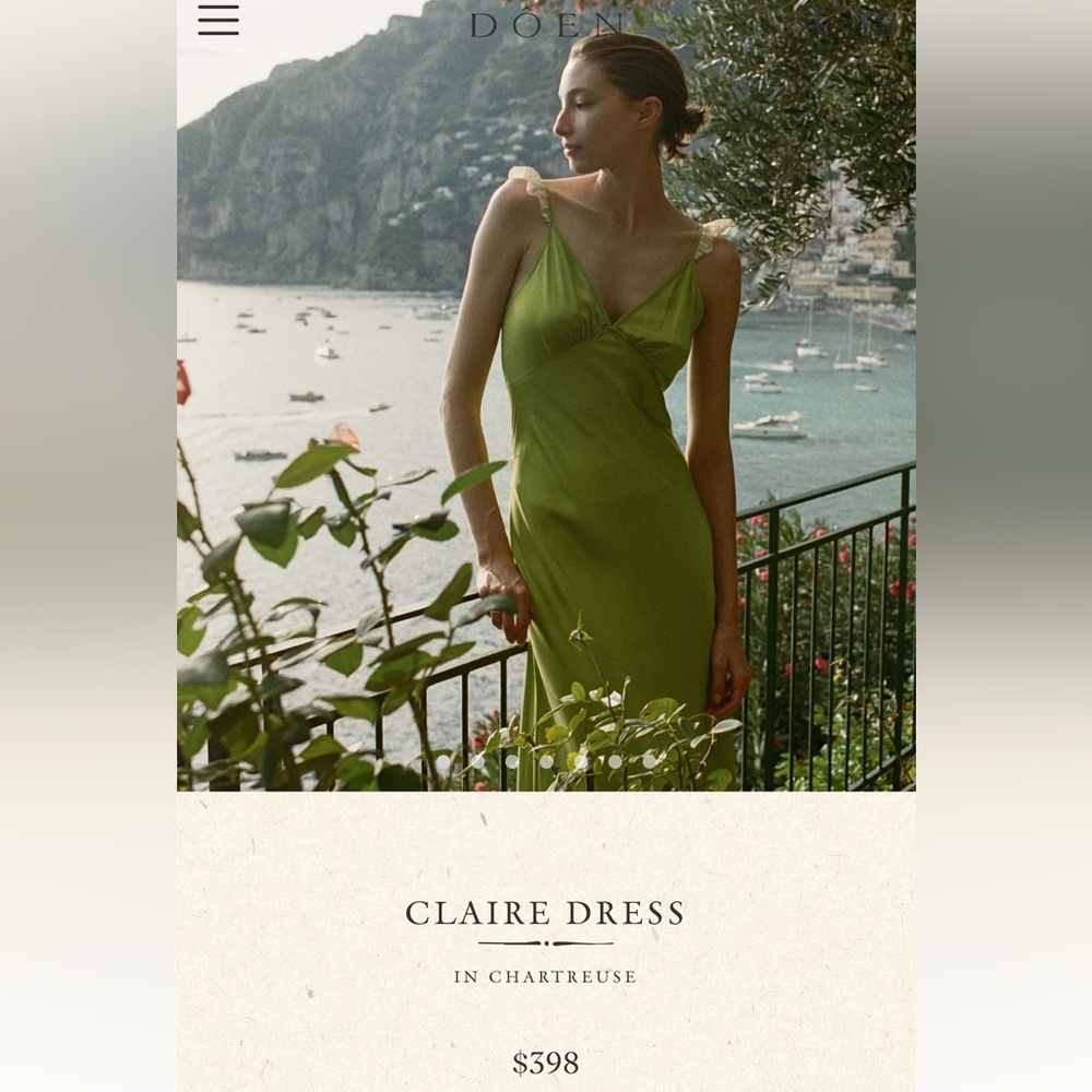 NWT Claire dress medium!